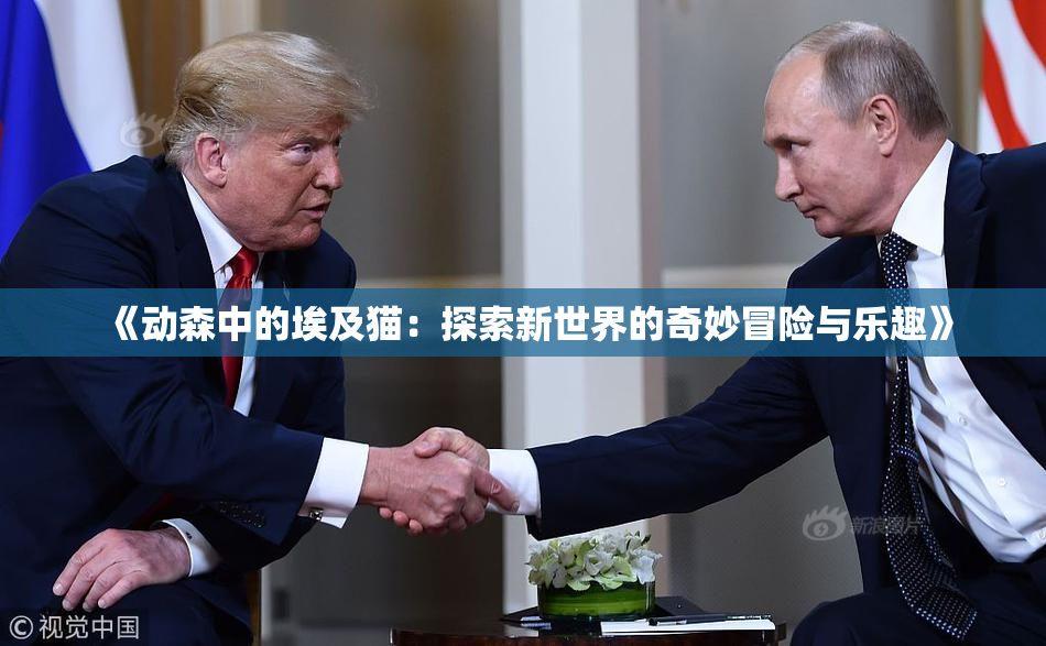 《动森中的埃及猫：探索新世界的奇妙冒险与乐趣》