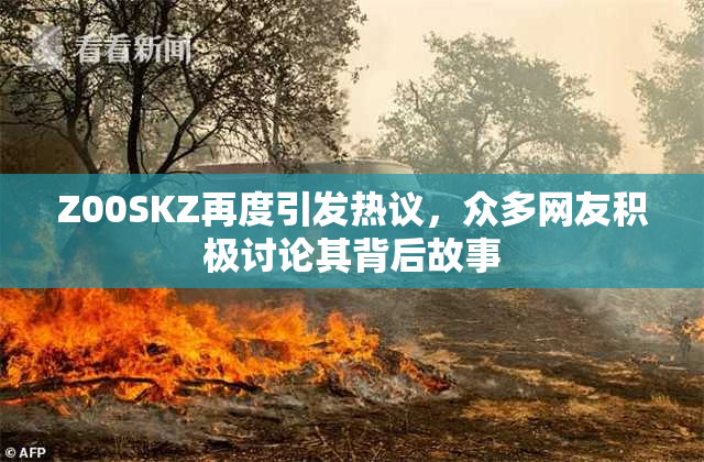 Z00SKZ再度引发热议，众多网友积极讨论其背后故事