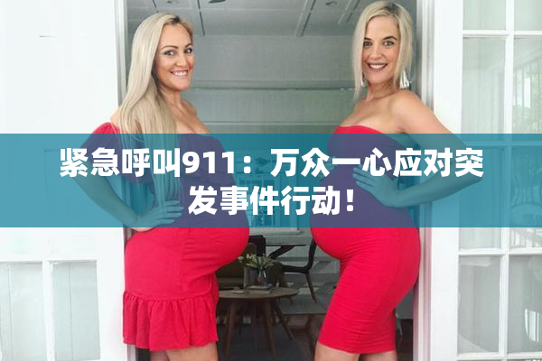 紧急呼叫911：万众一心应对突发事件行动！