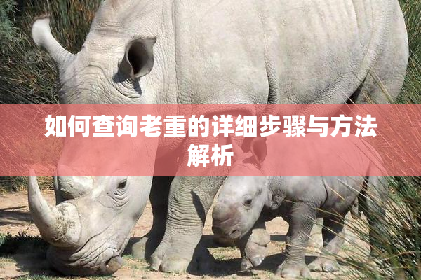 如何查询老重的详细步骤与方法解析