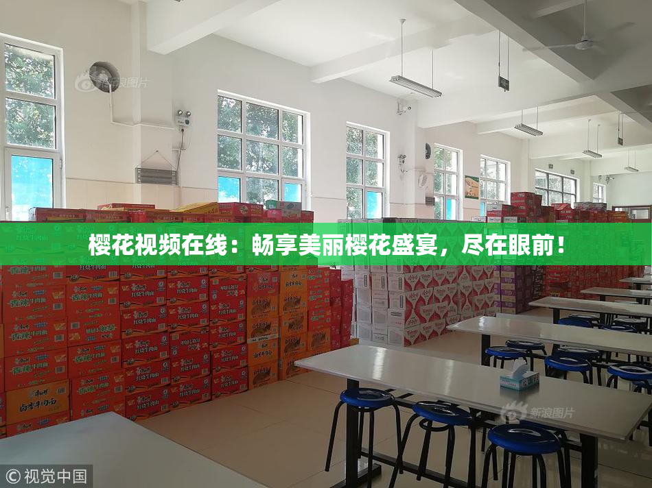 樱花视频在线：畅享美丽樱花盛宴，尽在眼前！