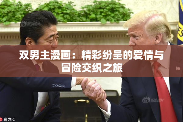 双男主漫画：精彩纷呈的爱情与冒险交织之旅