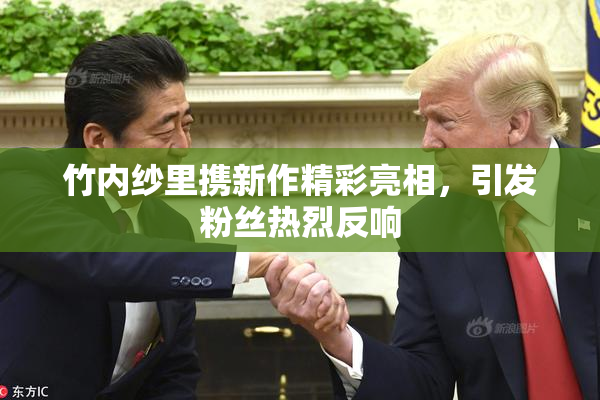 竹内纱里携新作精彩亮相，引发粉丝热烈反响