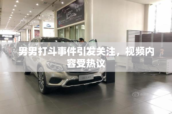 男男打斗事件引发关注，视频内容受热议