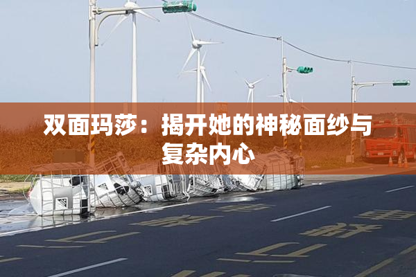 双面玛莎：揭开她的神秘面纱与复杂内心
