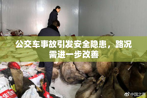 公交车事故引发安全隐患，路况需进一步改善