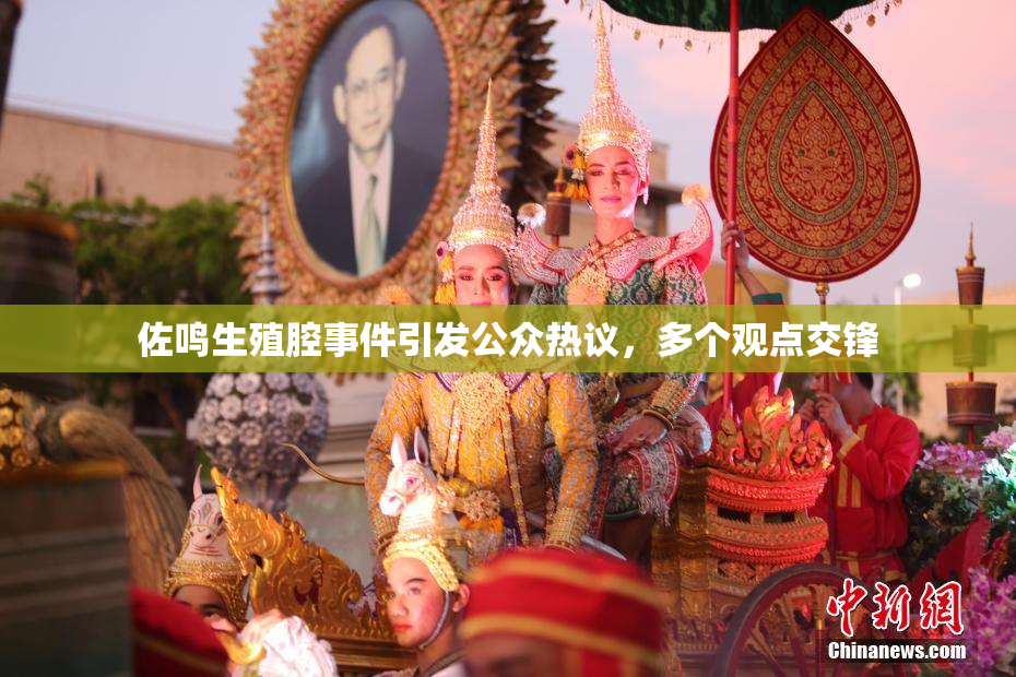 佐鸣生殖腔事件引发公众热议，多个观点交锋