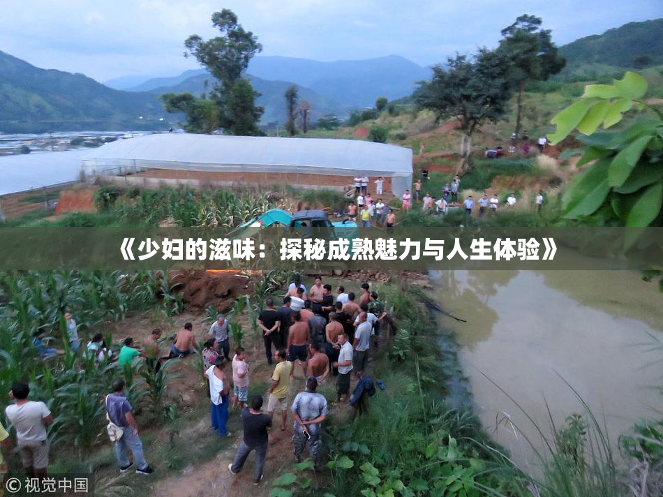 《少妇的滋味：探秘成熟魅力与人生体验》