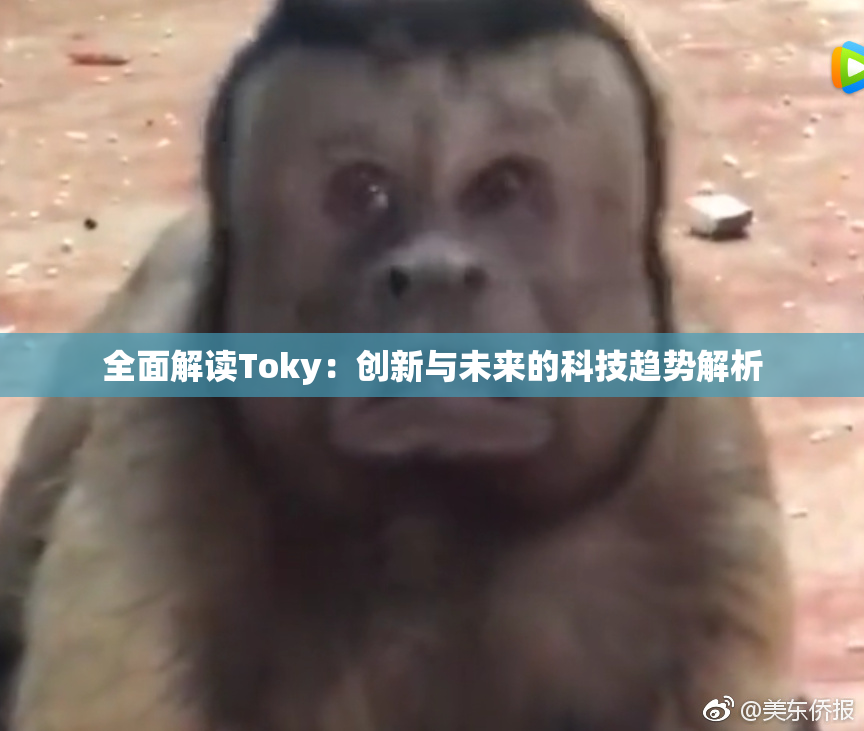 全面解读Toky：创新与未来的科技趋势解析