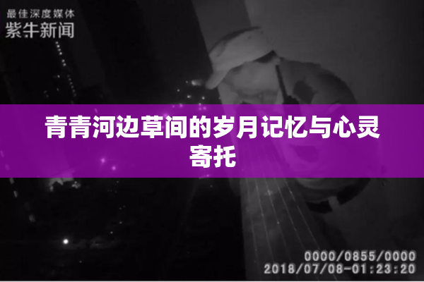 青青河边草间的岁月记忆与心灵寄托