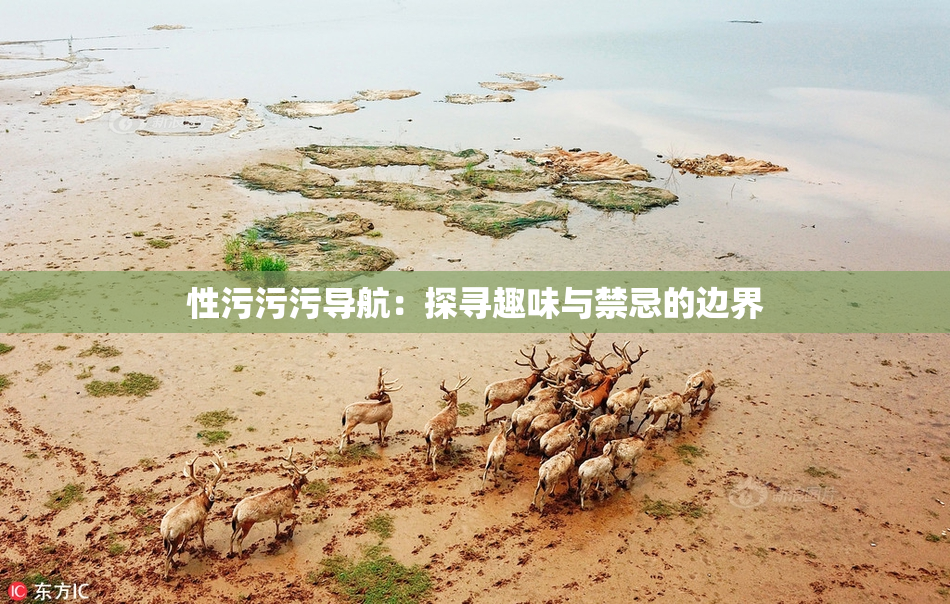 性污污污导航：探寻趣味与禁忌的边界