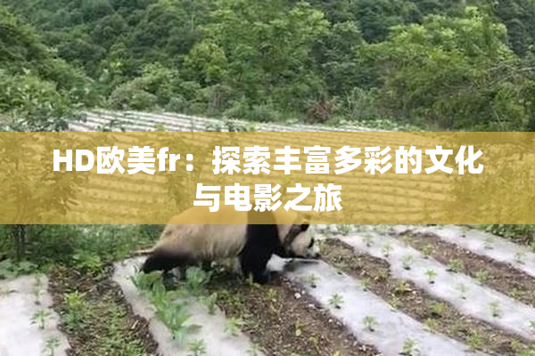 HD欧美fr：探索丰富多彩的文化与电影之旅