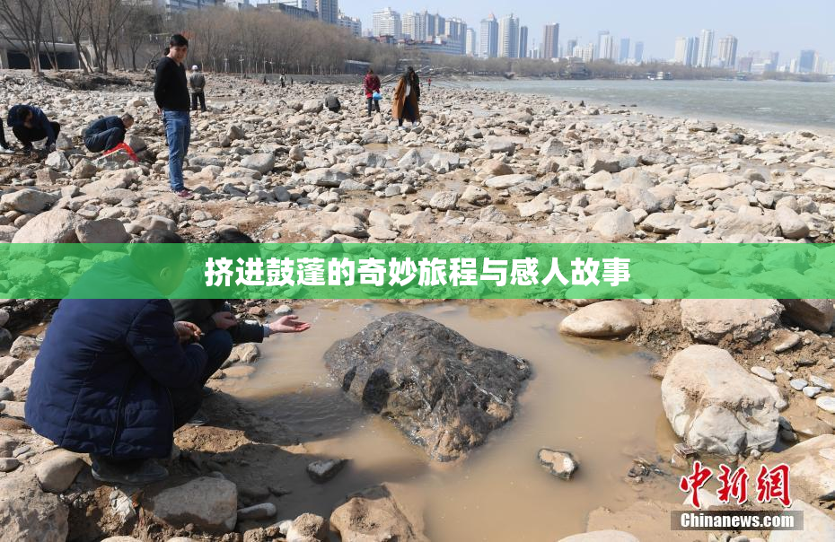 挤进鼓蓬的奇妙旅程与感人故事