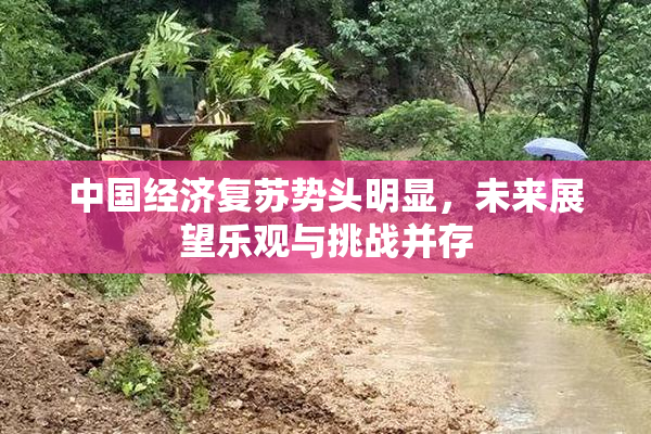 中国经济复苏势头明显，未来展望乐观与挑战并存