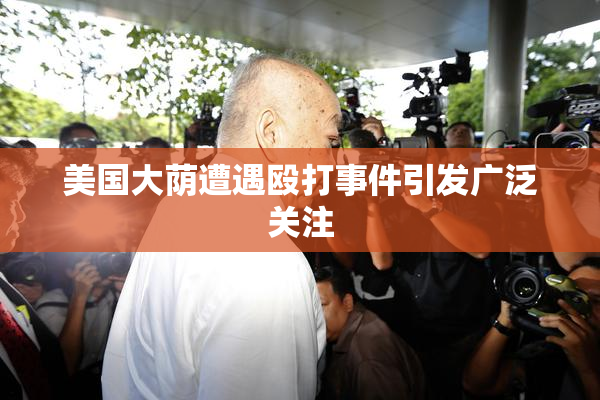 美国大荫遭遇殴打事件引发广泛关注