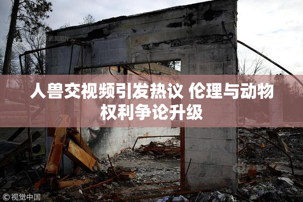 人兽交视频引发热议 伦理与动物权利争论升级