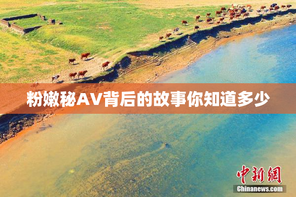 粉嫩秘AV背后的故事你知道多少