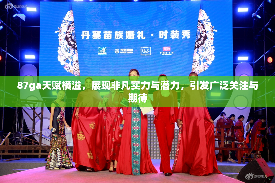 87ga天赋横溢，展现非凡实力与潜力，引发广泛关注与期待