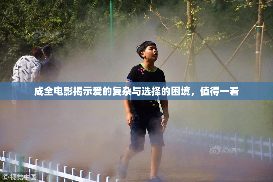 成全电影揭示爱的复杂与选择的困境，值得一看