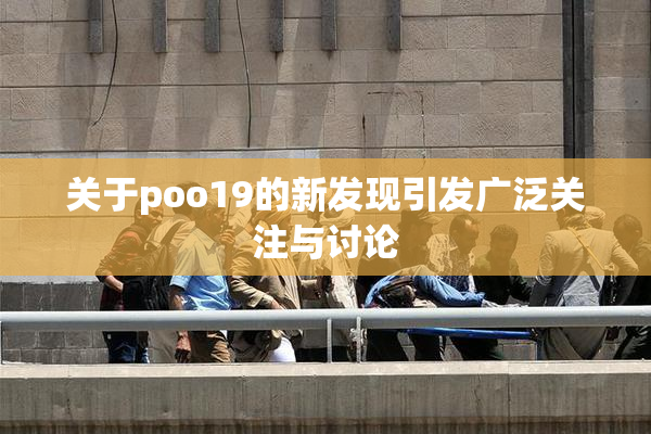 关于poo19的新发现引发广泛关注与讨论