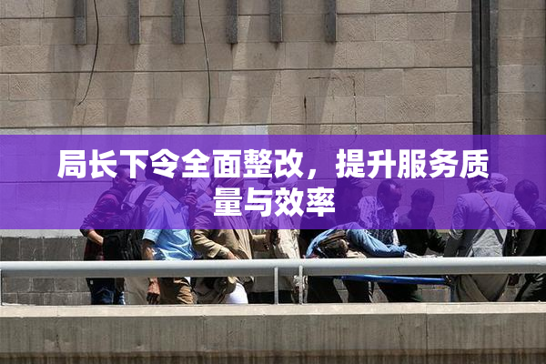 局长下令全面整改，提升服务质量与效率
