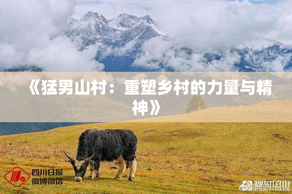 《猛男山村：重塑乡村的力量与精神》