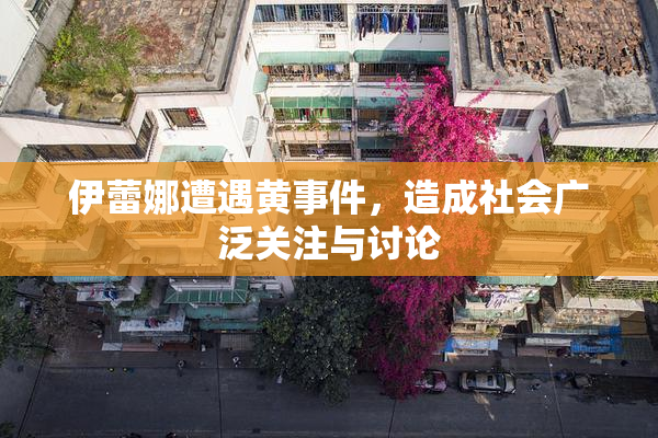 伊蕾娜遭遇黄事件，造成社会广泛关注与讨论