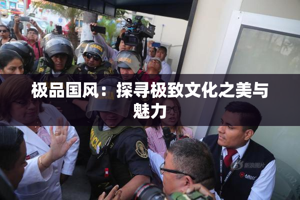 极品国风：探寻极致文化之美与魅力