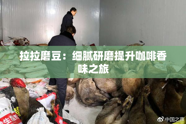 拉拉磨豆：细腻研磨提升咖啡香味之旅