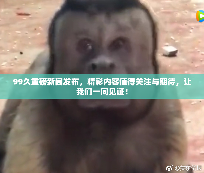 99久重磅新闻发布，精彩内容值得关注与期待，让我们一同见证！