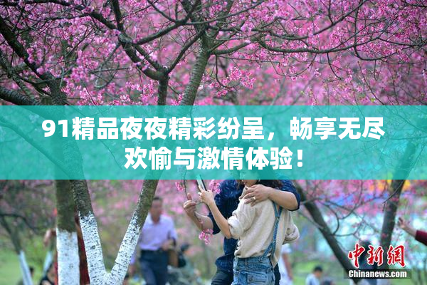 91精品夜夜精彩纷呈，畅享无尽欢愉与激情体验！