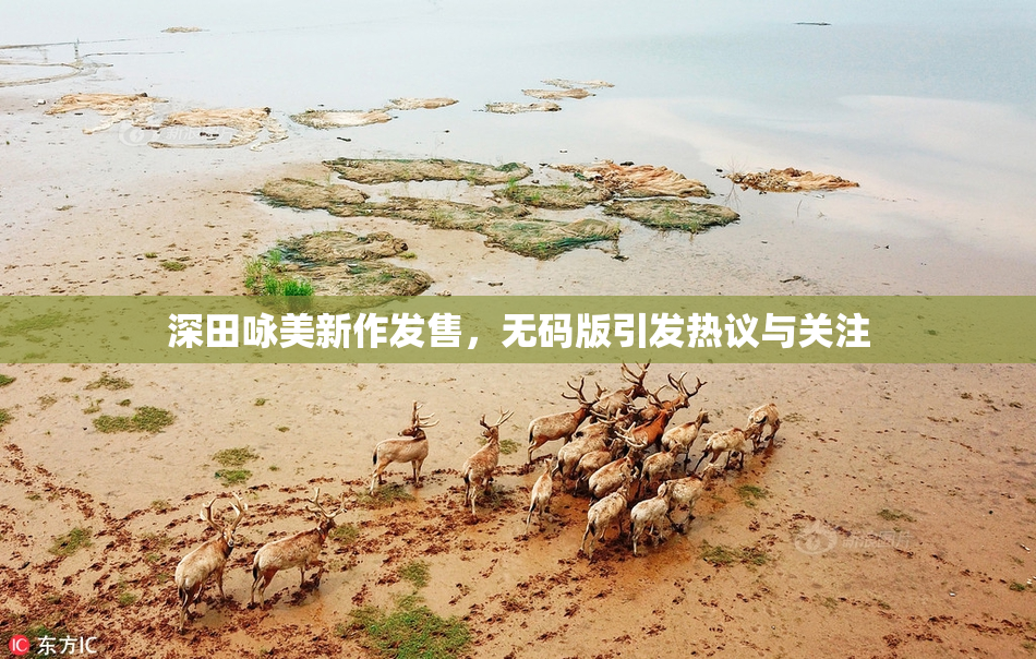 深田咏美新作发售，无码版引发热议与关注