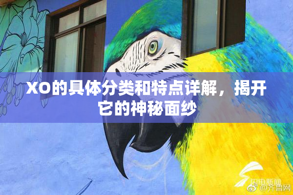 XO的具体分类和特点详解，揭开它的神秘面纱