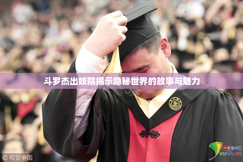 斗罗杰出妓院揭示隐秘世界的故事与魅力
