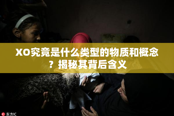 XO究竟是什么类型的物质和概念？揭秘其背后含义