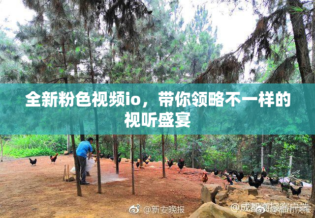 全新粉色视频io，带你领略不一样的视听盛宴