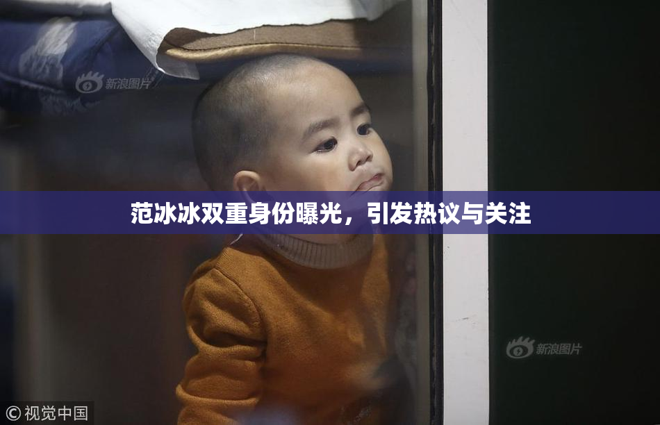 范冰冰双重身份曝光，引发热议与关注