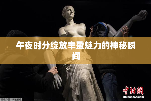 午夜时分绽放丰盈魅力的神秘瞬间