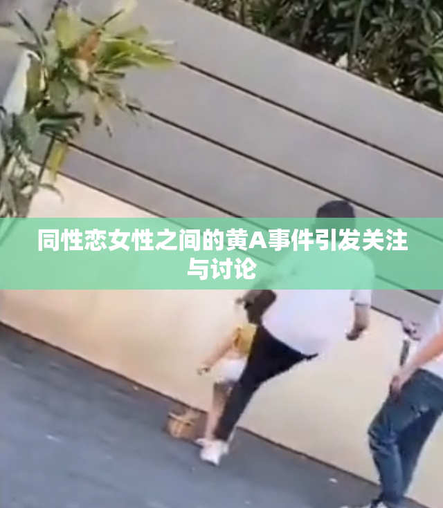 同性恋女性之间的黄A事件引发关注与讨论