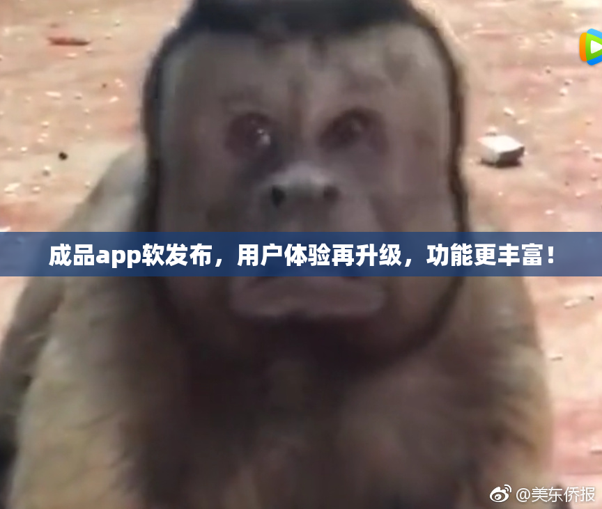 成品app软发布，用户体验再升级，功能更丰富！
