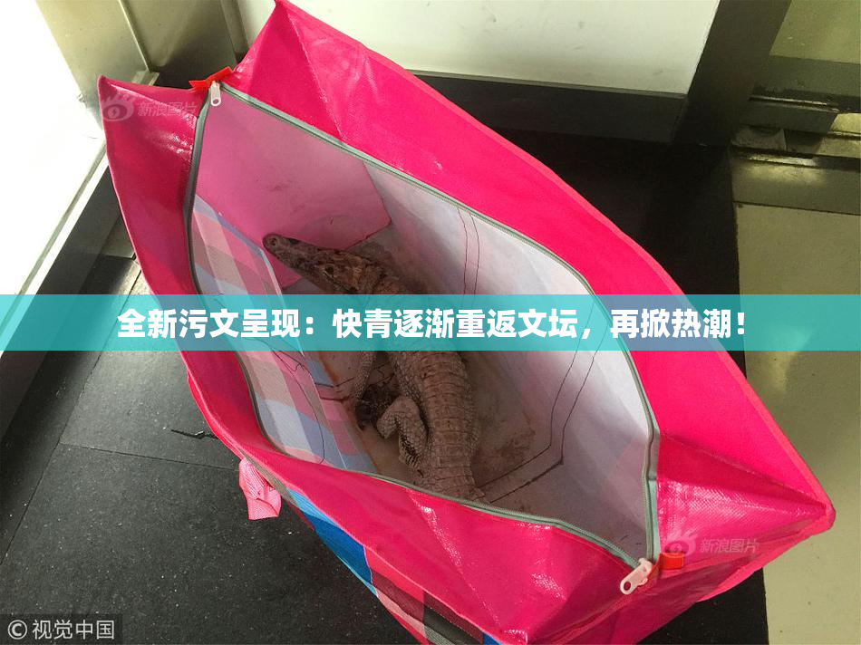 全新污文呈现：快青逐渐重返文坛，再掀热潮！