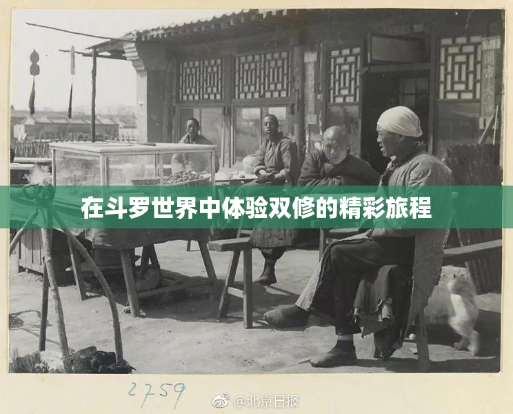 在斗罗世界中体验双修的精彩旅程