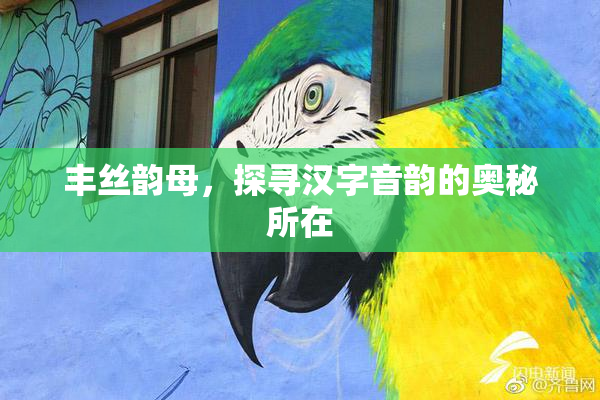 丰丝韵母，探寻汉字音韵的奥秘所在