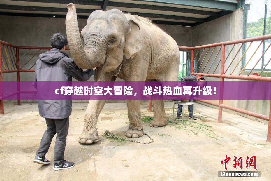 cf穿越时空大冒险，战斗热血再升级！