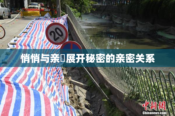 悄悄与亲妺展开秘密的亲密关系