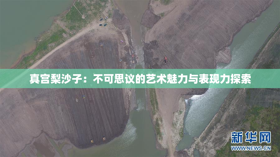 真宫梨沙子：不可思议的艺术魅力与表现力探索