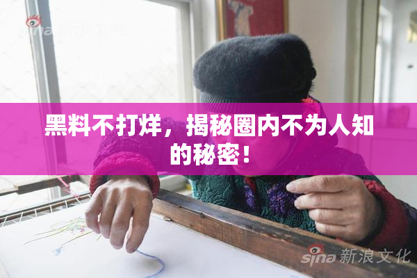 黑料不打烊，揭秘圈内不为人知的秘密！