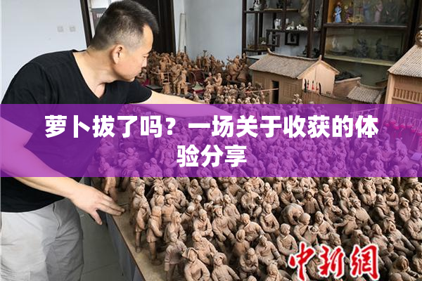 萝卜拔了吗？一场关于收获的体验分享