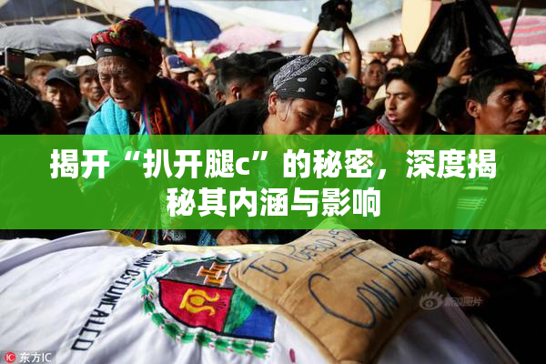 揭开“扒开腿c”的秘密，深度揭秘其内涵与影响