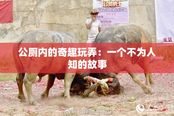 公厕内的奇趣玩弄：一个不为人知的故事